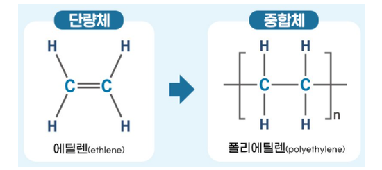 단량체는 단순 반복 구조인데 반해 중합체는 복합 구조로 이루어져 있다.